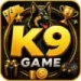 K9 Game APK